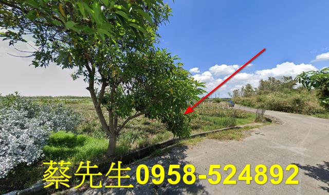 雲林斗六法拍農地-4
