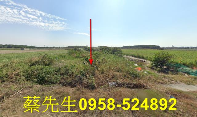 雲林台西農地法拍-8
