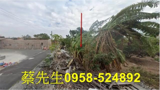 雲林麥寮法拍建地-10