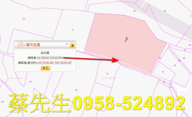 台中大安區法拍農地-1