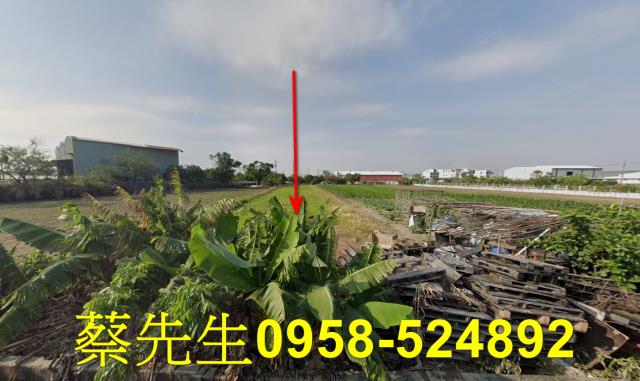台南農地法拍-0