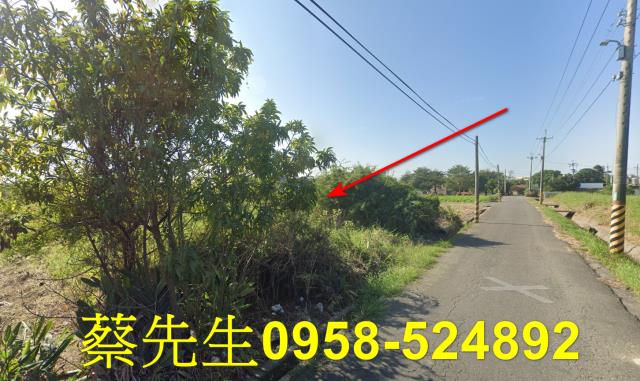 台南拍賣農地-3
