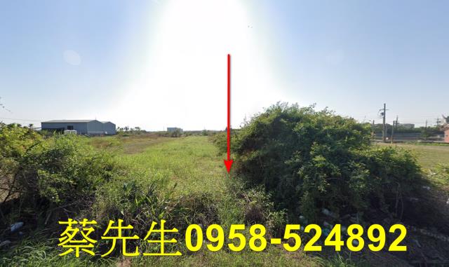 台南拍賣農地-8