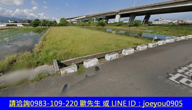 宜蘭市法拍農地-3