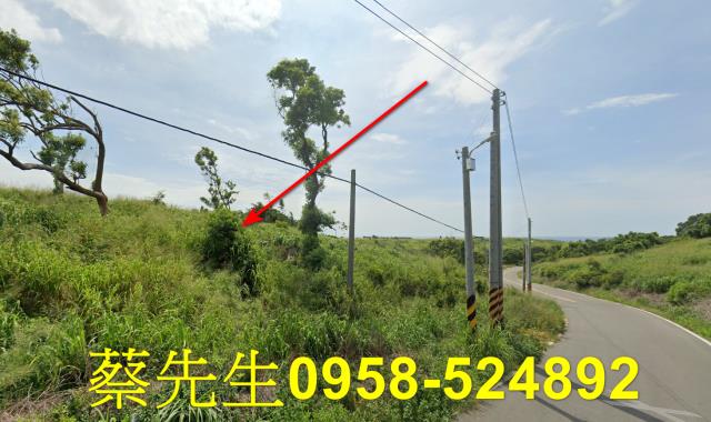 苗栗後龍法拍農地-11