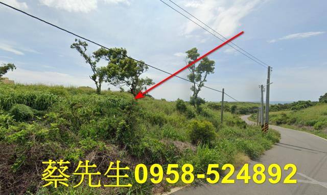 苗栗後龍法拍農地-12