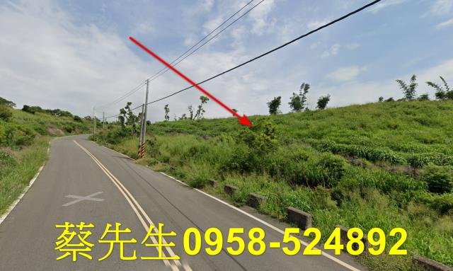 苗栗後龍法拍農地-6