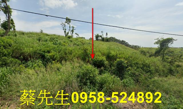 苗栗後龍法拍農地-8