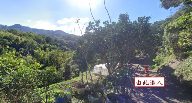 橫山農地法拍-5