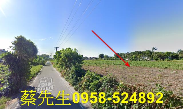 花蓮吉安農地法拍-11