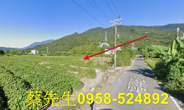 花蓮吉安農地法拍-14