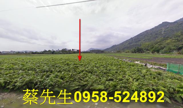 花蓮吉安農地法拍-0