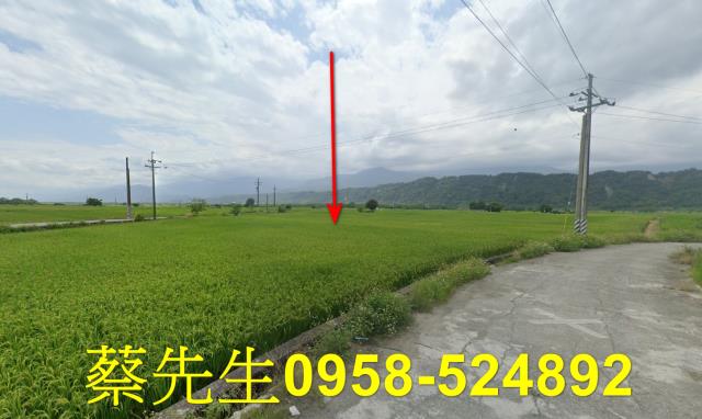 花蓮玉里拍賣農地-11