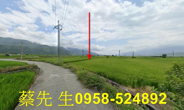 花蓮玉里拍賣農地-12