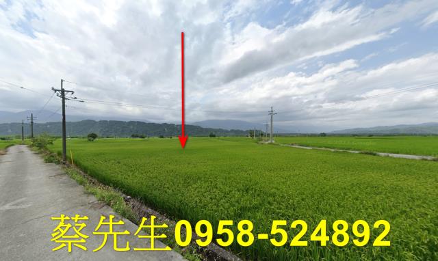 花蓮玉里拍賣農地-13