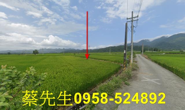 花蓮玉里拍賣農地-14
