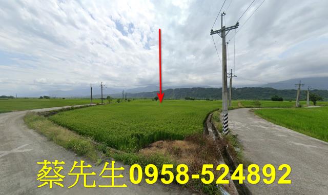 花蓮玉里拍賣農地-0