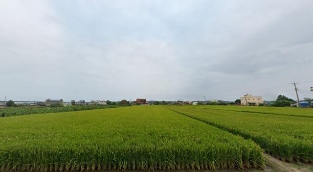 苗栗後龍農地拍賣-3