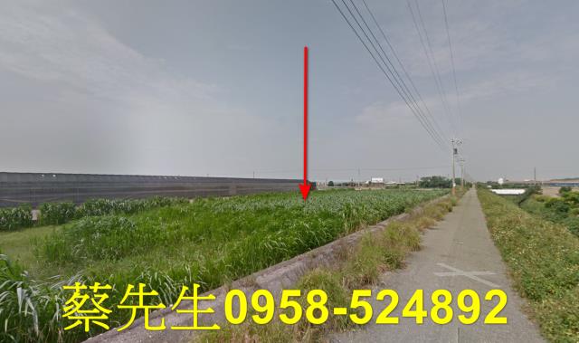 大城農地拍賣-12