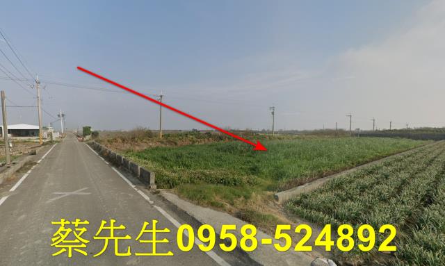 大城農地拍賣-14