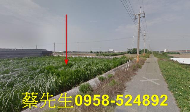 大城農地拍賣-3
