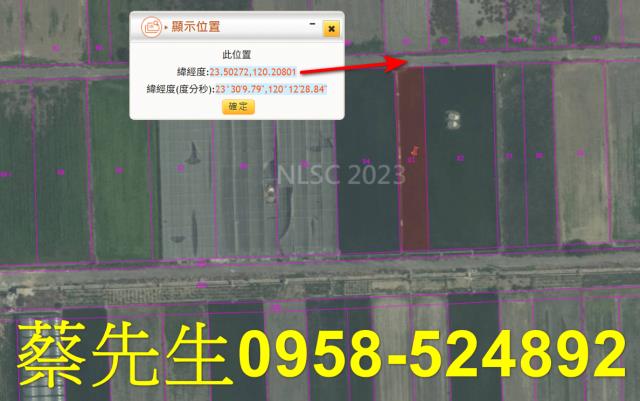 嘉義農地法拍-2