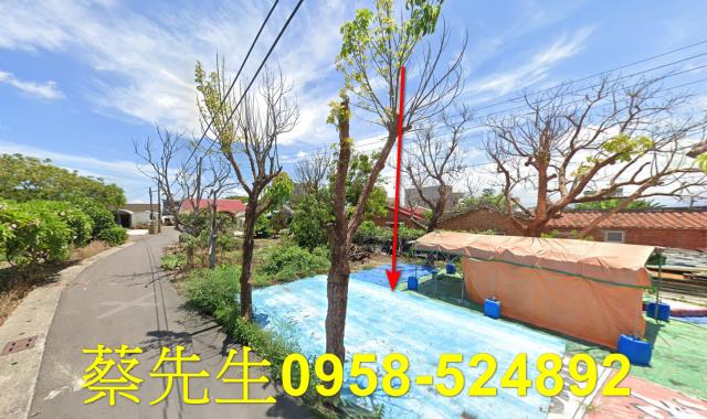 嘉義義竹建地拍賣-11