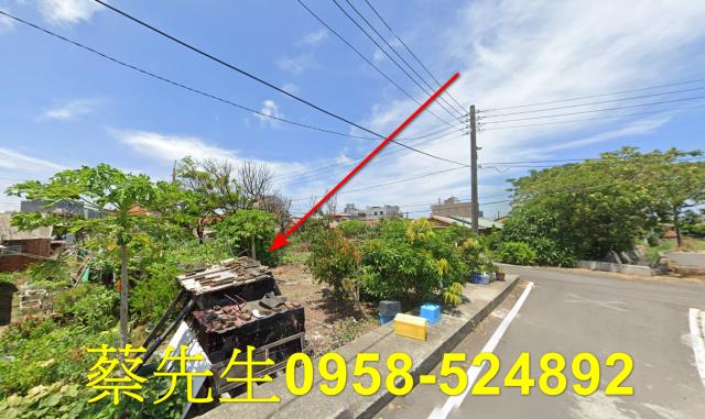嘉義義竹建地拍賣-14