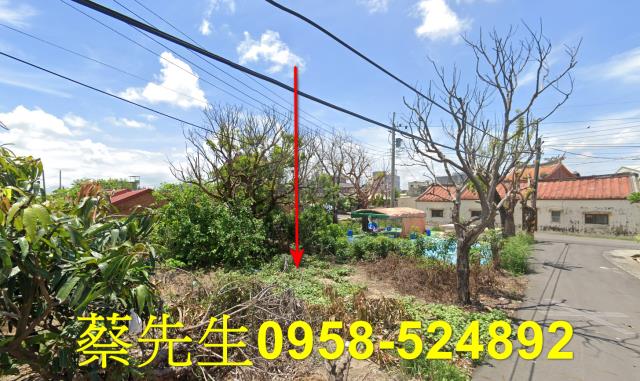 嘉義義竹建地拍賣-4