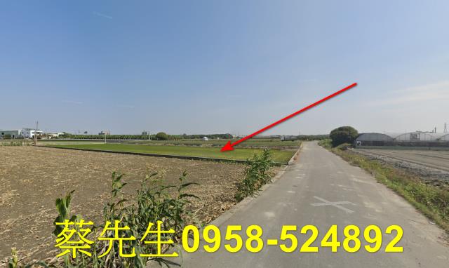 虎尾法拍農地-12