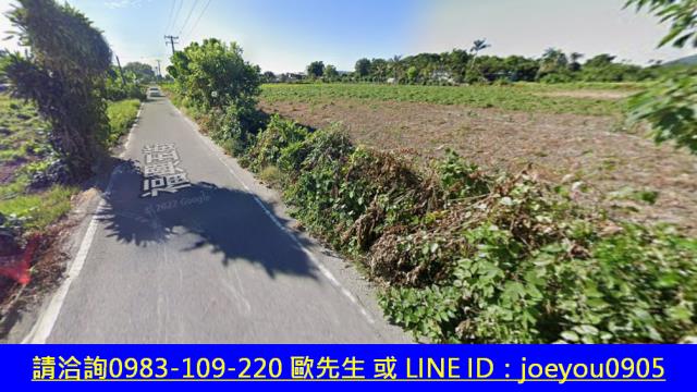吉安法拍農地-10