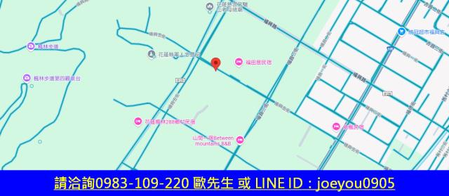 吉安法拍農地-7