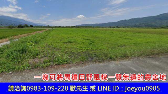 鳳林農地法拍-2