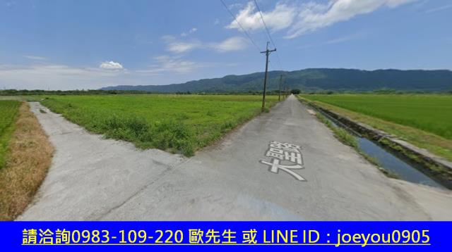 鳳林農地法拍-3