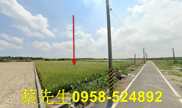 台西農地法拍-11