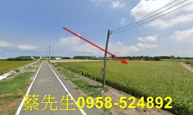 台西農地法拍-13