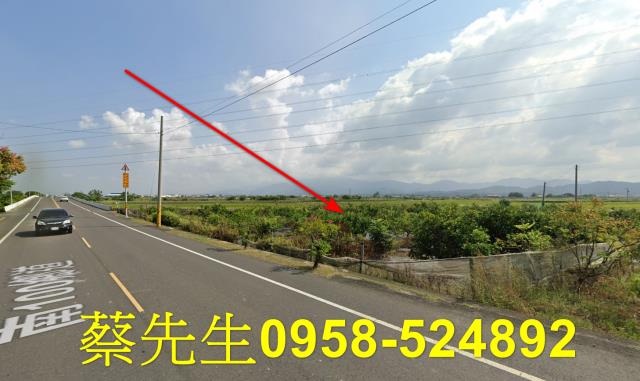 台南東山農地拍賣-5