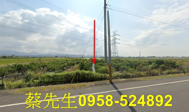 台南東山農地拍賣-8