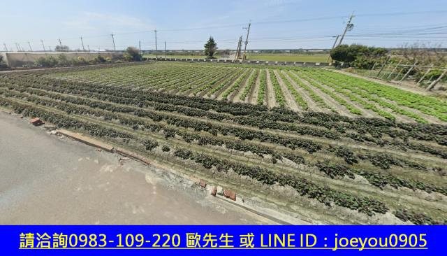 彰化大城法拍農地-10