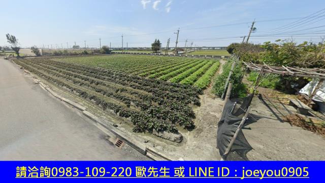 彰化大城法拍農地-3