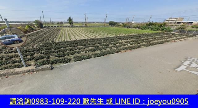 彰化大城法拍農地-5