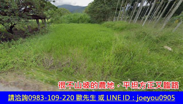 瑞穗法拍山坡地-2