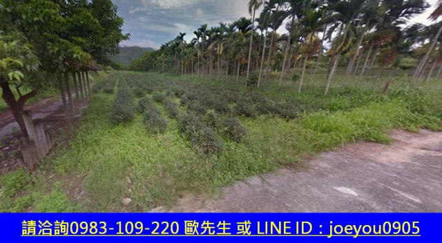 瑞穗法拍山坡地-3