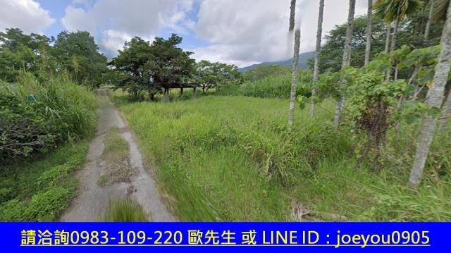 瑞穗法拍山坡地-4