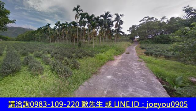 瑞穗法拍山坡地-5