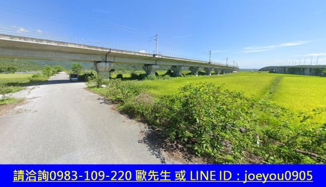 玉里農地法拍-10