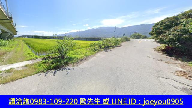 玉里農地法拍-5