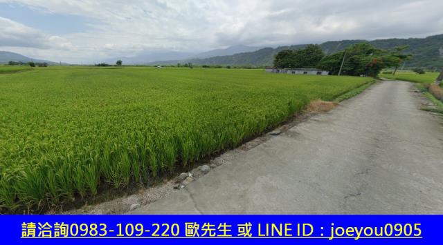 花蓮玉里農地法拍-4