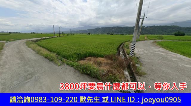 花蓮玉里拍賣農地-9