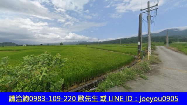 花蓮玉里拍賣農地-4